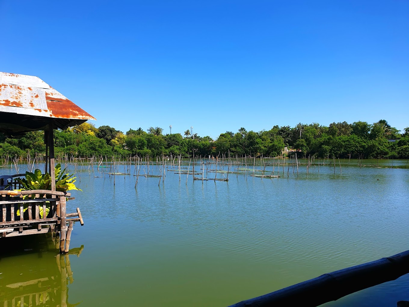 Foods and Culture in COnsolacion